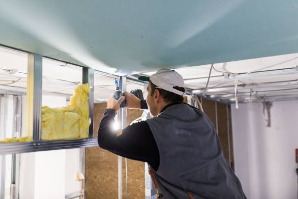 Types of Insulation We Offer in Greendale, IN