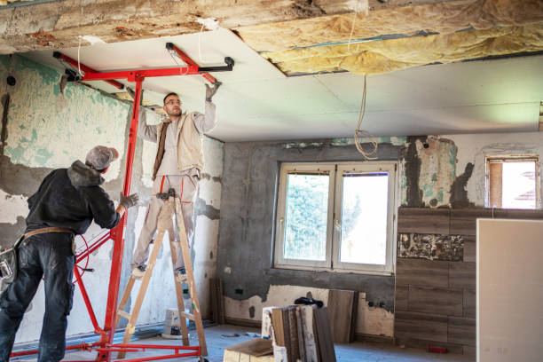 Best Geographic-Specific Insulation Services in Greendale, IN